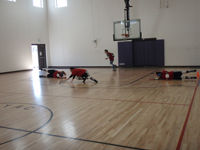 Goalball