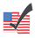 voter flag image