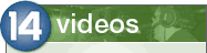videos logo