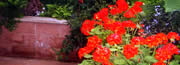 image of fort collins