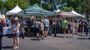 Spotlight image: FoCo EcoFest