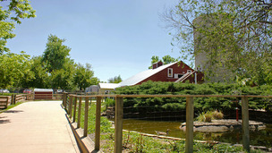 Spotlight image: Celebrate 40 Years at The Farm!