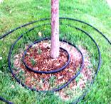 soaker hose