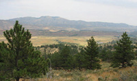 Bobcat ridge