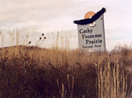 Cathy Fromme area