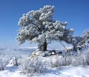 City of Fort Collins Image