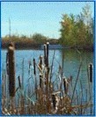 View of One of Fort Collins' Natural Areas