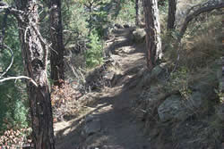 Black Powder Trail