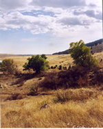 prn area