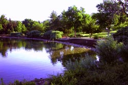 City of Fort Collins Image