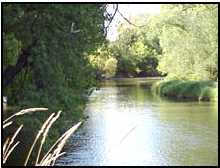 poudre river