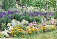 Outdoor Adoption Program