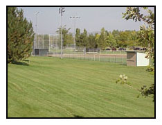 Ball fields at Lee Martinez Park