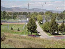 Ball fields at Rolland Moore park