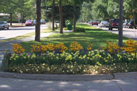 Outdoor Adoption Program