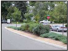 (Oak Street Median)