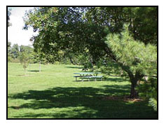 Picnic at City Park