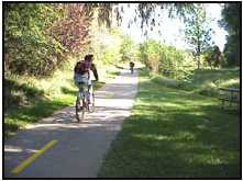 (Bikes on Spring Creek)