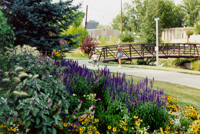 Outdoor Adoption Program