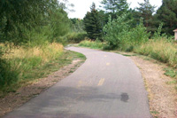 Outdoor Adoption Program