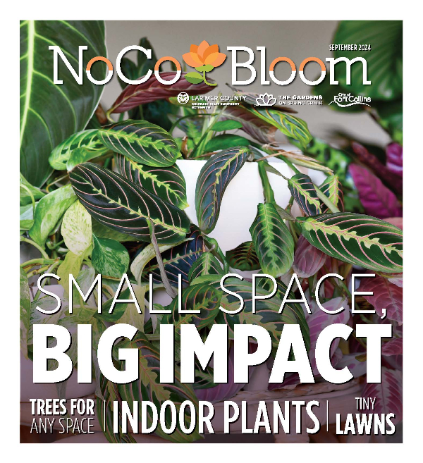 NoCo Bloom July 2024 Cover