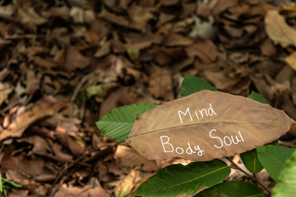 Fall leaves with mind body words