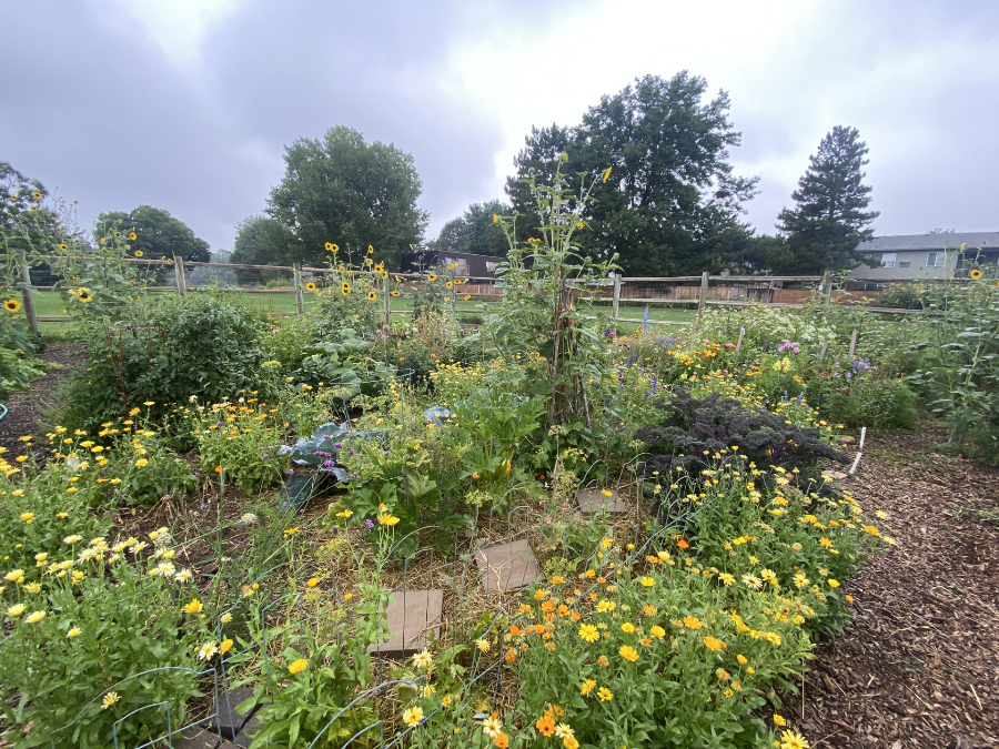 Edora Community Garden