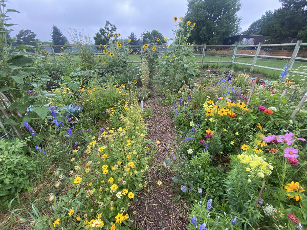 Edora Community Garden