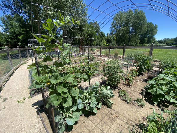 community garden at English Ranch