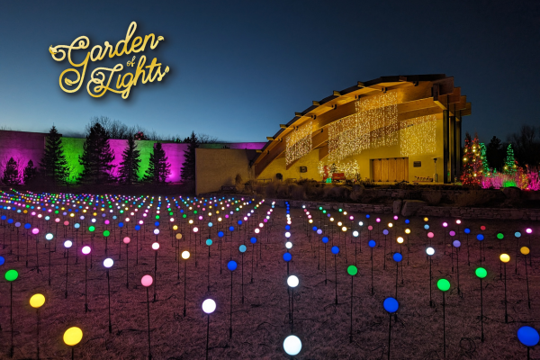 Garden of Lights