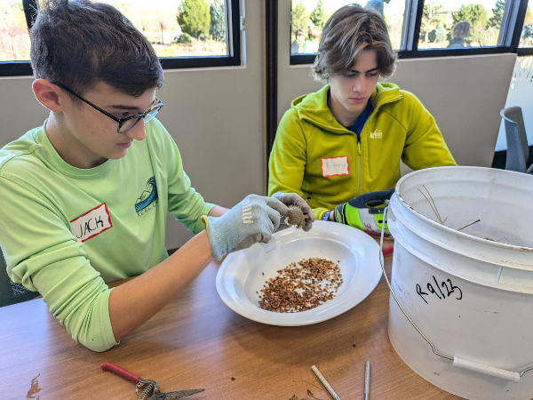 Two teens sorting seeds