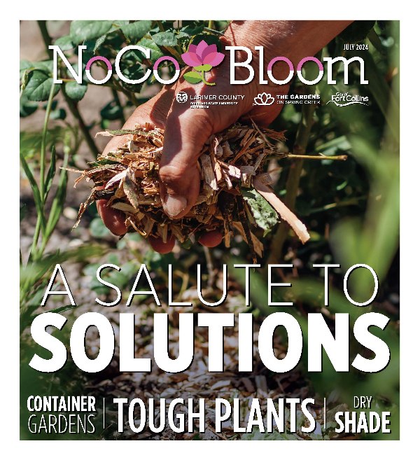 NoCo Bloom July 2024 Cover