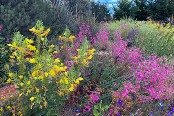 High plains garden setting