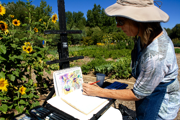 woman in hat painting watercolor sunflowers in garden