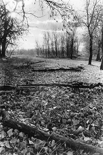 Arapaho Bend Natural Area City Of Fort Collins