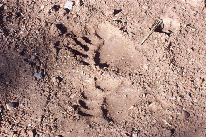 Bobcat Ridge Natural Area - City of Fort Collins