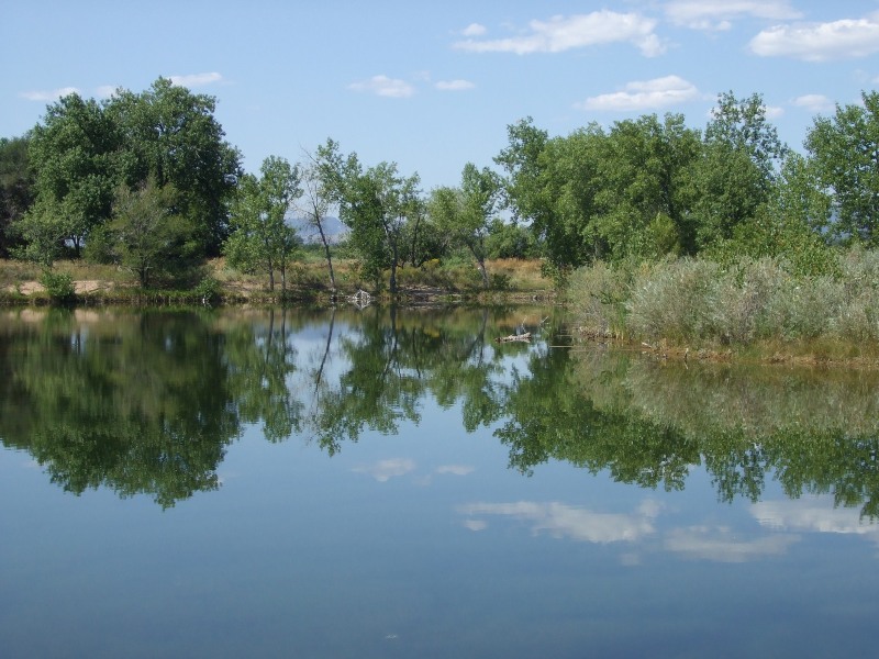 Riverbend Ponds Natural Area - City of Fort Collins