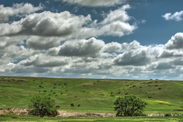 Soapstone Prairie Natural Area - City Of Fort Collins