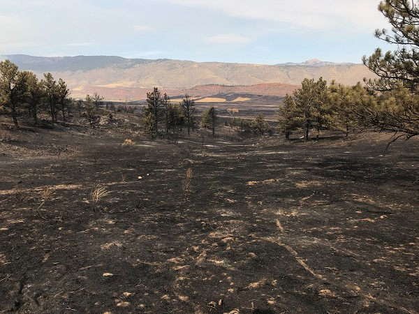 Update from Poudre Valley Rural - Cameron Peak Fire