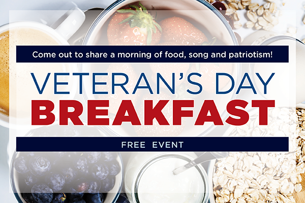 Free video on veterans day for elementary students