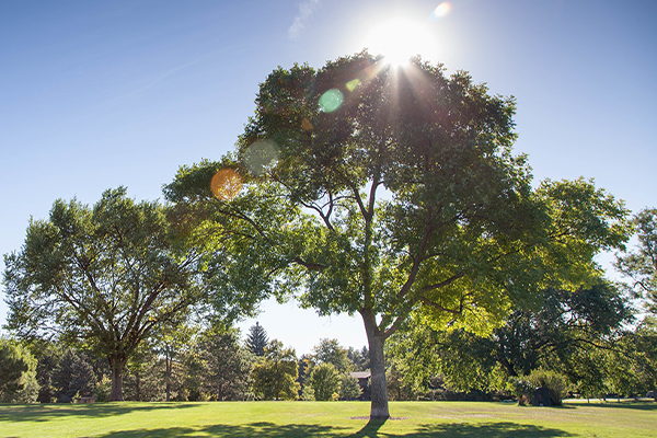 State of the City - City of Fort Collins