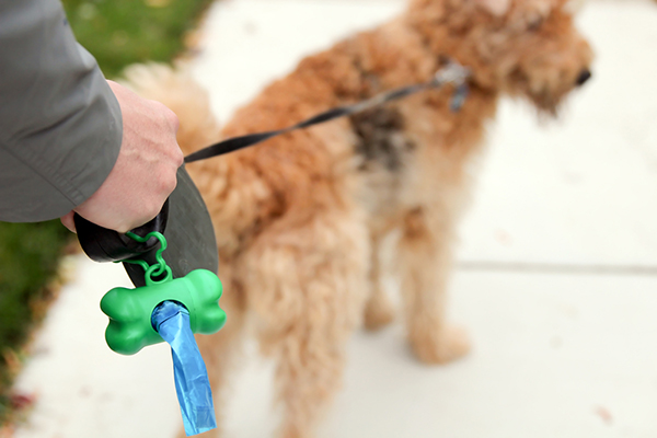 puedes tirar caca de perro a la basura