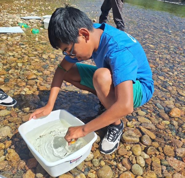 A teen looking at the macroinvertebrates at the Poudre River.